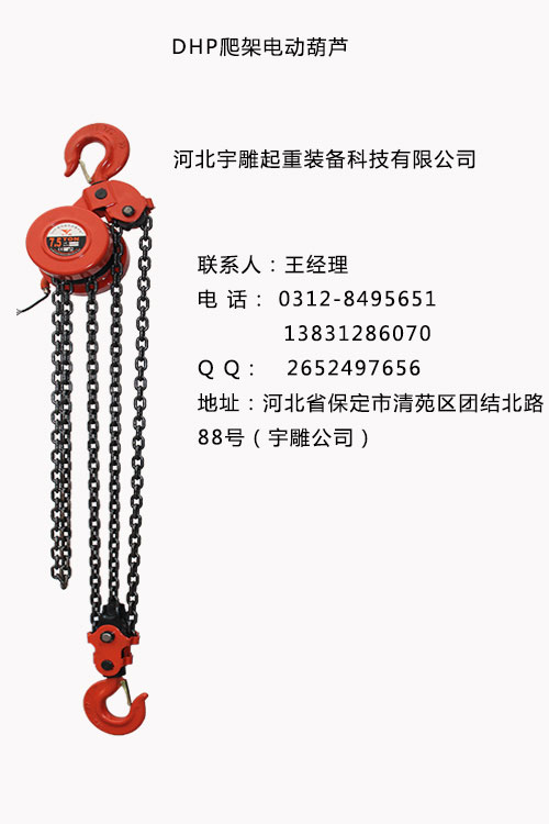 宇雕精品爬架电动葫芦