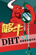 宇雕DHT型单链电动提升机