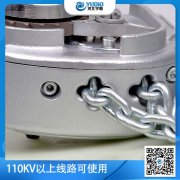 决定铝合金手扳葫芦的价格的因素